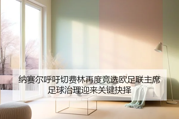 纳赛尔呼吁切费林再度竞选欧足联主席 足球治理迎来关键抉择（MILAN.COMapp）